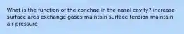 What is the function of the conchae in the nasal cavity? increase surface area exchange gases maintain surface tension maintain air pressure