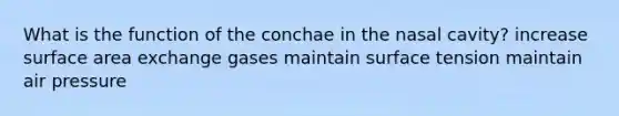 What is the function of the conchae in the nasal cavity? increase surface area exchange gases maintain surface tension maintain air pressure