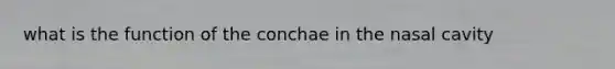 what is the function of the conchae in the nasal cavity