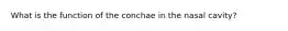 What is the function of the conchae in the nasal cavity?