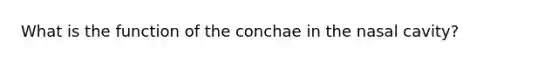 What is the function of the conchae in the nasal cavity?