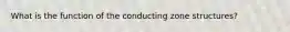 What is the function of the conducting zone structures?