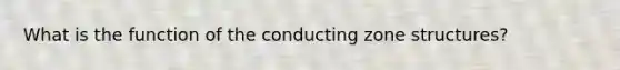 What is the function of the conducting zone structures?