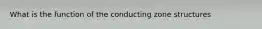 What is the function of the conducting zone structures