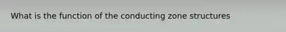 What is the function of the conducting zone structures