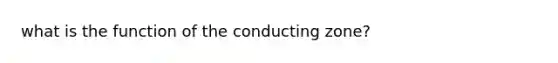 what is the function of the conducting zone?