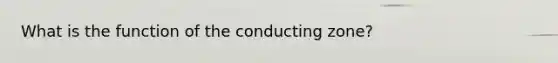 What is the function of the conducting zone?