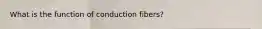 What is the function of conduction fibers?