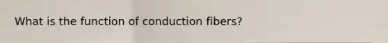 What is the function of conduction fibers?