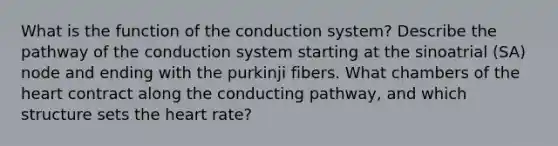 What is the function of the conduction system? Describe the pathway of the conduction system starting at the sinoatrial (SA) node and ending with the purkinji fibers. What chambers of <a href='https://www.questionai.com/knowledge/kya8ocqc6o-the-heart' class='anchor-knowledge'>the heart</a> contract along the conducting pathway, and which structure sets the heart rate?