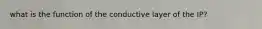 what is the function of the conductive layer of the IP?