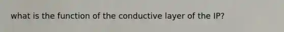 what is the function of the conductive layer of the IP?