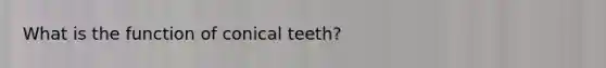 What is the function of conical teeth?