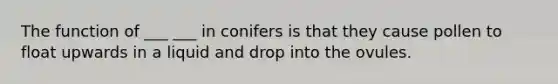 The function of ___ ___ in conifers is that they cause pollen to float upwards in a liquid and drop into the ovules.