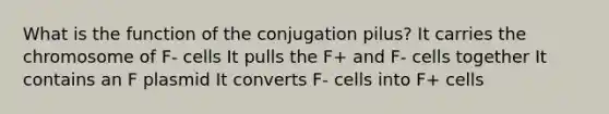 What is the function of the conjugation pilus? It carries the chromosome of F- cells It pulls the F+ and F- cells together It contains an F plasmid It converts F- cells into F+ cells