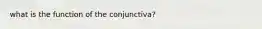 what is the function of the conjunctiva?