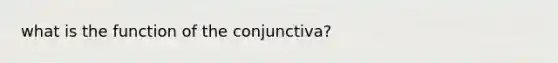 what is the function of the conjunctiva?