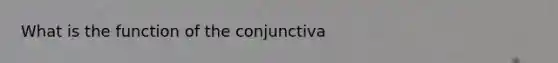 What is the function of the conjunctiva