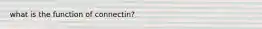 what is the function of connectin?