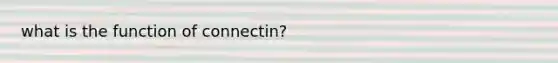 what is the function of connectin?