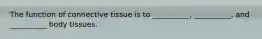 The function of connective tissue is to __________, __________, and __________ body tissues.