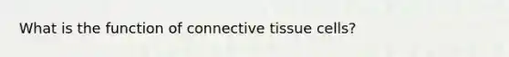 What is the function of connective tissue cells?