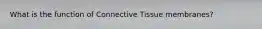 What is the function of Connective Tissue membranes?