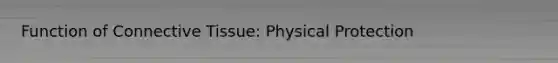 Function of Connective Tissue: Physical Protection