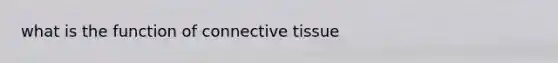 what is the function of connective tissue