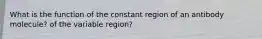 What is the function of the constant region of an antibody molecule? of the variable region?