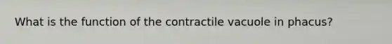 What is the function of the contractile vacuole in phacus?