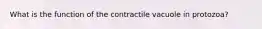 What is the function of the contractile vacuole in protozoa?