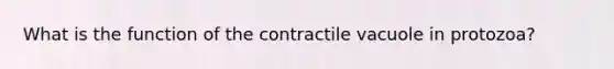 What is the function of the contractile vacuole in protozoa?