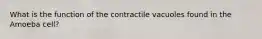 What is the function of the contractile vacuoles found in the Amoeba cell?