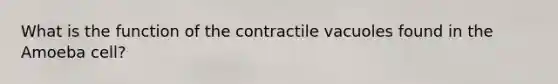 What is the function of the contractile vacuoles found in the Amoeba cell?