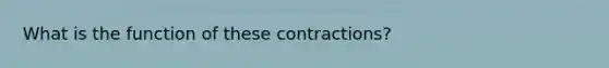 What is the function of these contractions?