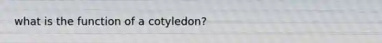 what is the function of a cotyledon?