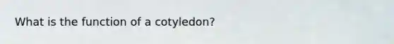 What is the function of a cotyledon?