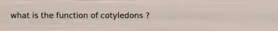 what is the function of cotyledons ?