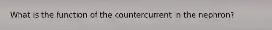 What is the function of the countercurrent in the nephron?