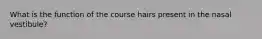 What is the function of the course hairs present in the nasal vestibule?