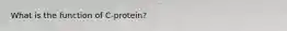 What is the function of C-protein?