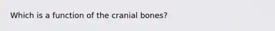 Which is a function of the cranial bones?