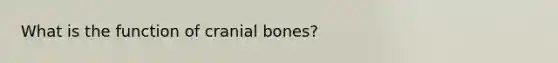 What is the function of cranial bones?