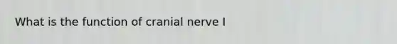 What is the function of cranial nerve I