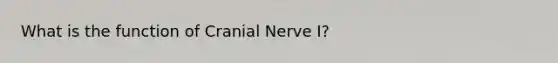 What is the function of Cranial Nerve I?