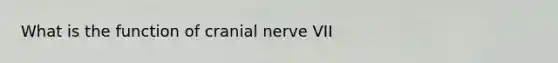 What is the function of cranial nerve VII