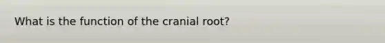 What is the function of the cranial root?