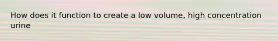 How does it function to create a low volume, high concentration urine