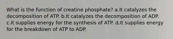 What is the function of creatine phosphate? a.It catalyzes the decomposition of ATP. b.It catalyzes the decomposition of ADP. c.It supplies energy for the synthesis of ATP. d.It supplies energy for the breakdown of ATP to ADP.